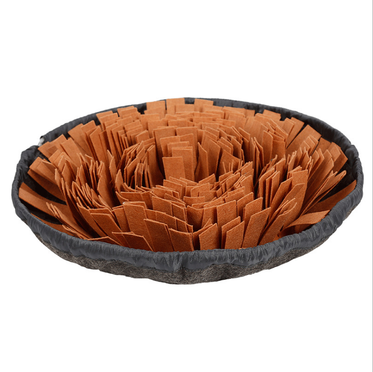 Snuffle Mat — Turns Dinner Into 20 Minutes of Sniffing
