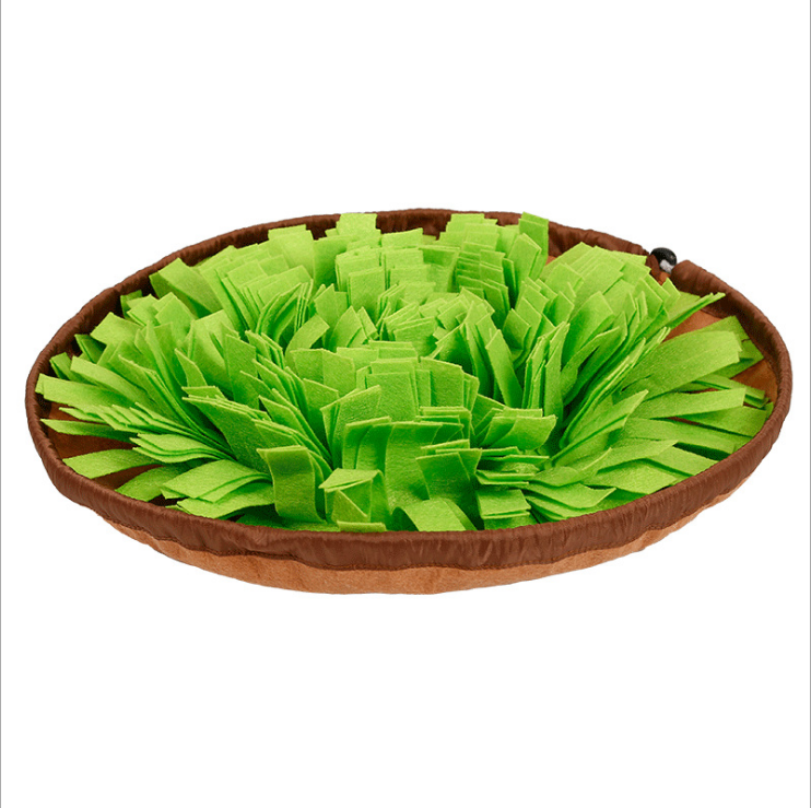 Snuffle Mat — Turns Dinner Into 20 Minutes of Sniffing