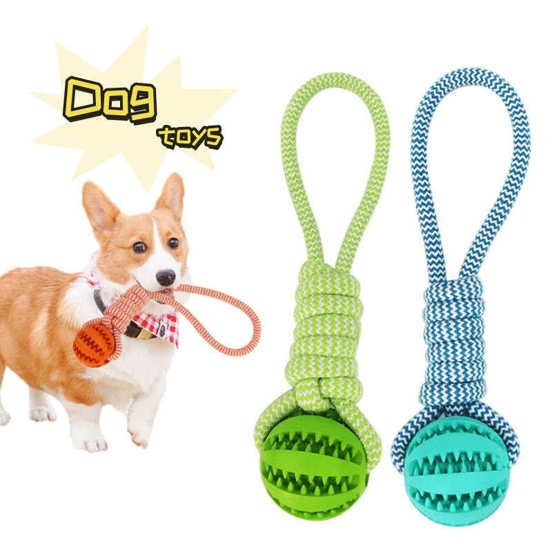 Treat Ball — Rolls, Drops, Repeats