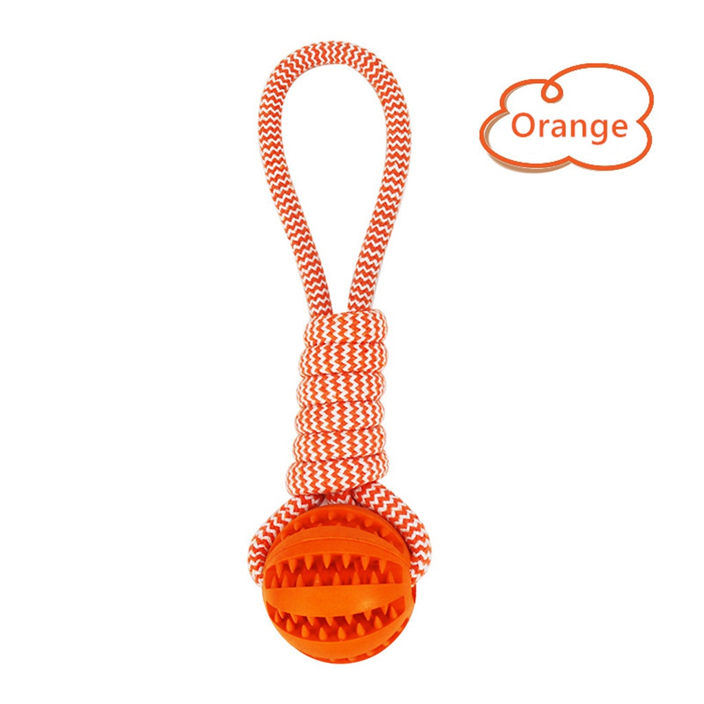 Treat Ball — Rolls, Drops, Repeats